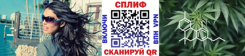 Где купить Лесосибирск Псилоцибиновые грибы  Мефедрон  Альфа ПВП  Марихуана  АМФЕТАМИН  ГАШ  Cocaine 