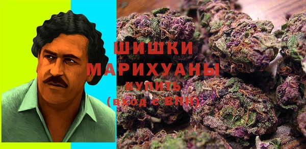 гидропоника Карпинск