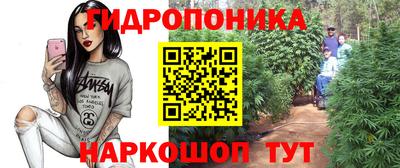 spice Жуковский