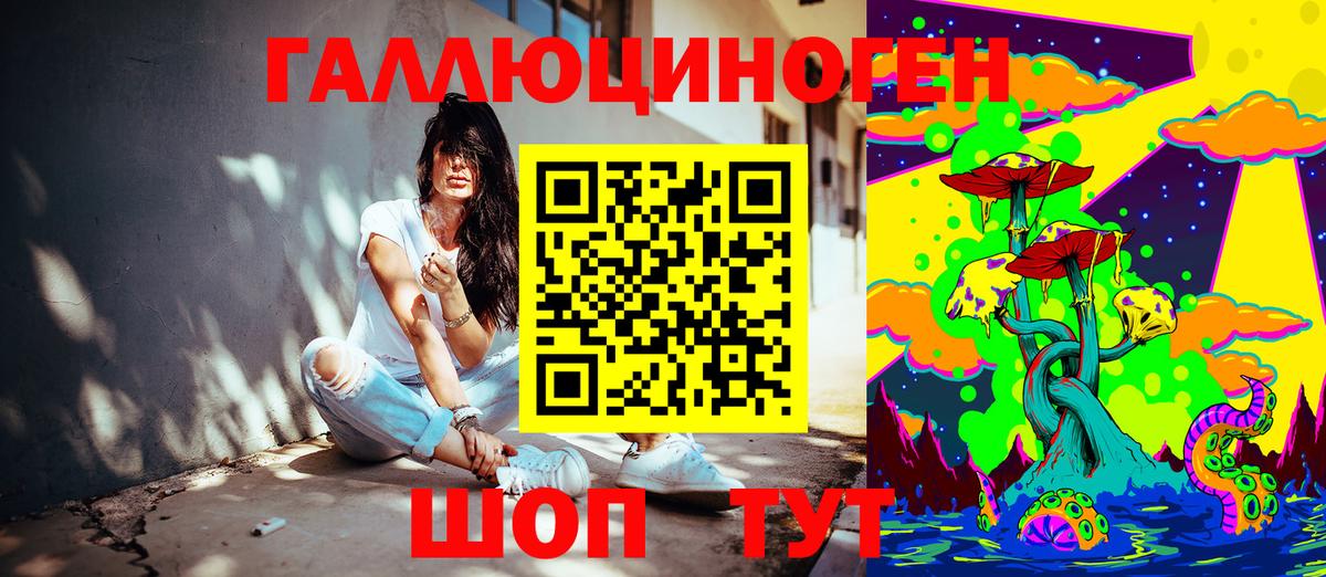 Галлюциногенные грибы Psilocybe Лесосибирск