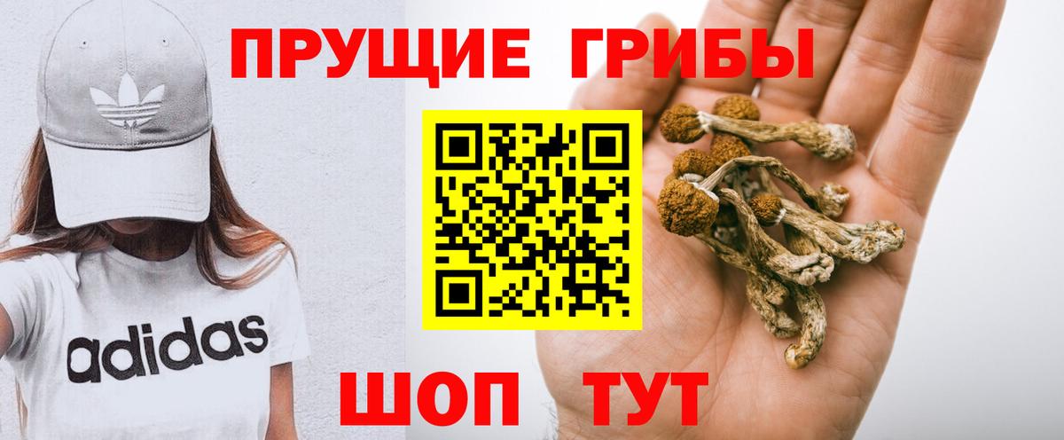 Галлюциногенные грибы Psilocybe  Галлюциногенные грибы Magic Shrooms  Лесосибирск  Вход с VPN 